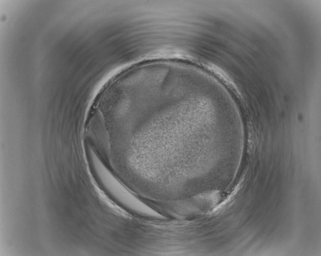 X0000078860942200611271408