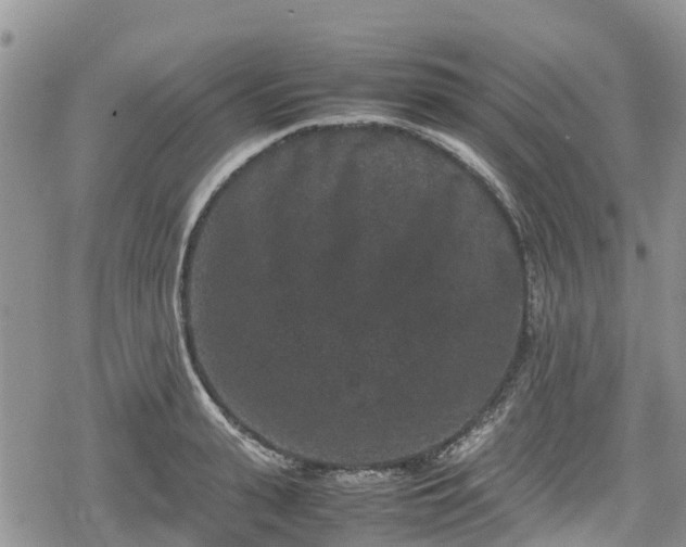 X0000078860943200611271408