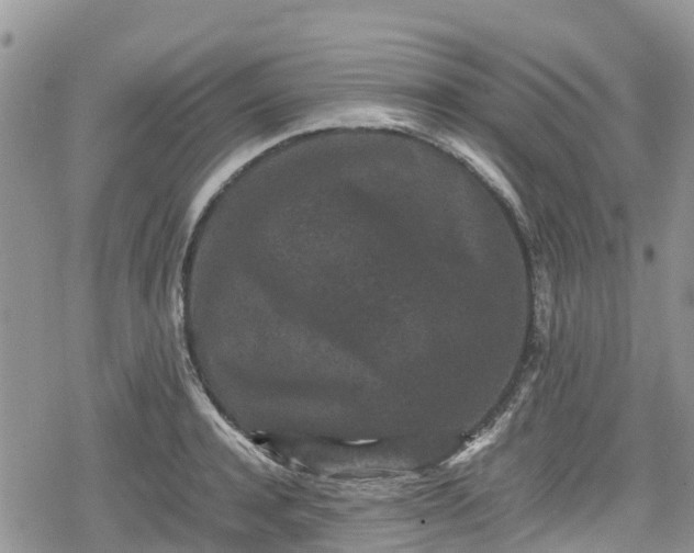 X0000078860944200611271408