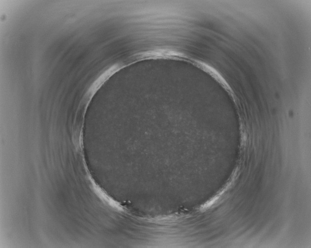 X0000078860946200611271408