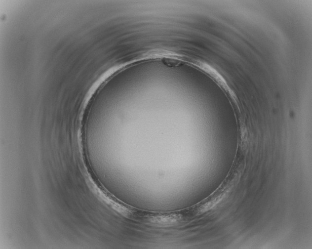 X0000078860947200611271408