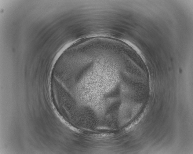 X0000078860949200611271408