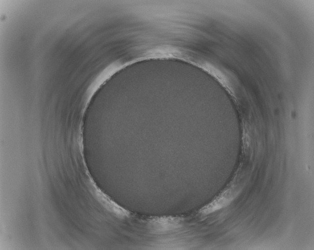 X0000078860950200611271408