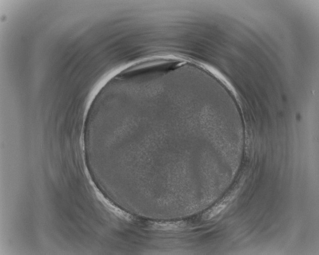 X0000078860951200611271408