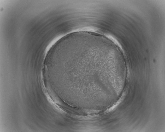 X0000078860952200611271408