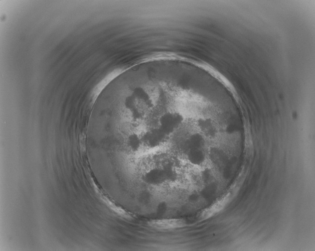 X0000078860953200611271408