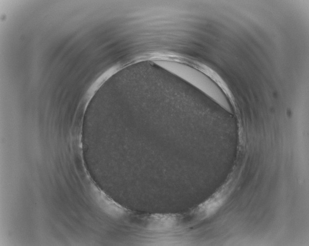 X0000078860954200611271408