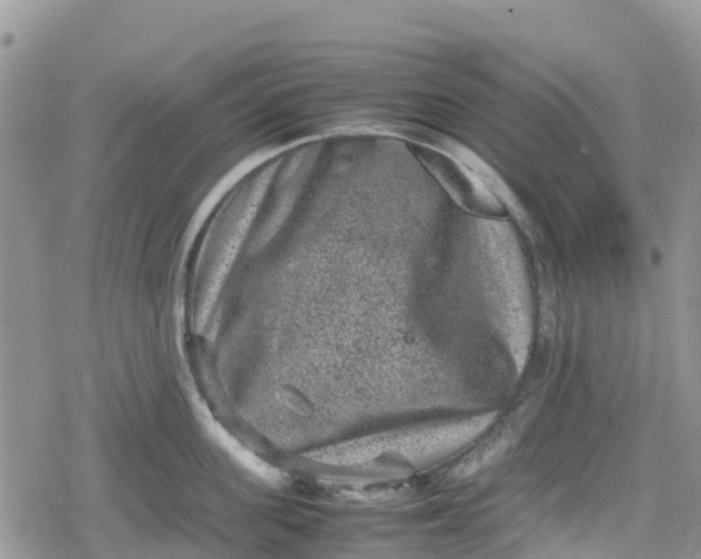 X0000078860955200611271408