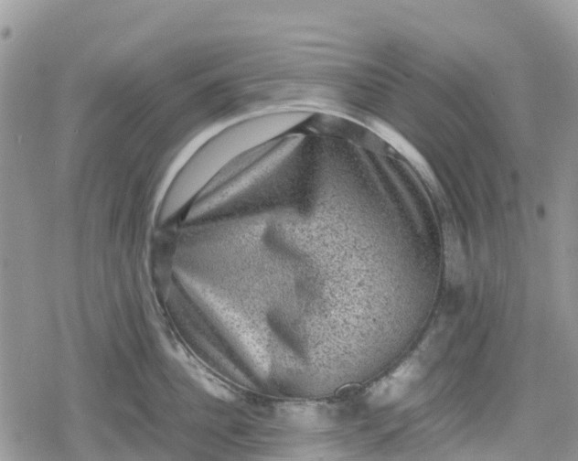 X0000078860956200611271408