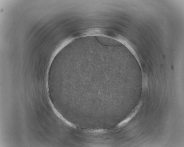 X0000078860957200611271408