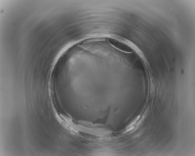 X0000078860958200611271408