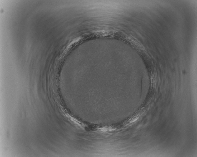 X0000078860961200611271408