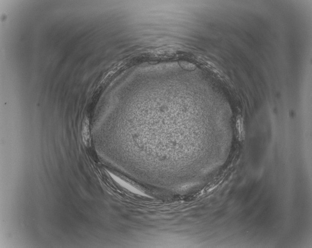 X0000078860963200611271408