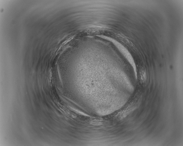 X0000078860964200611271408