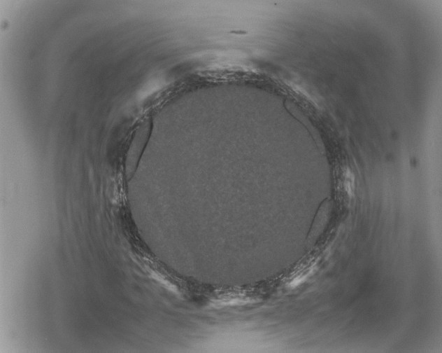 X0000078860965200611271408