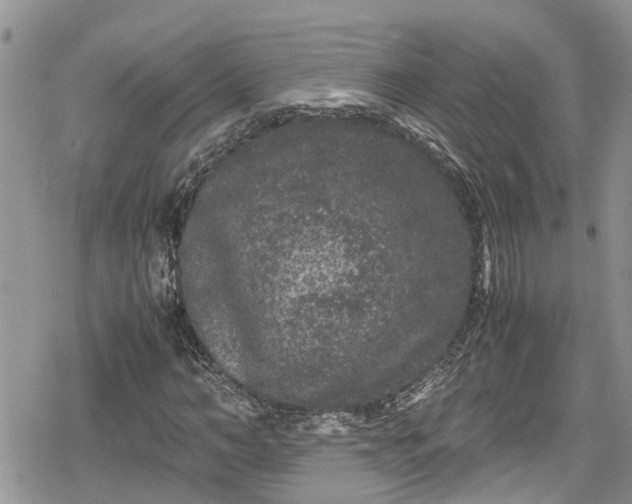 X0000078860966200611271408