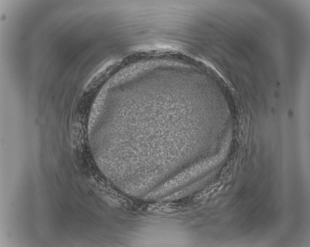 X0000078860967200611271408