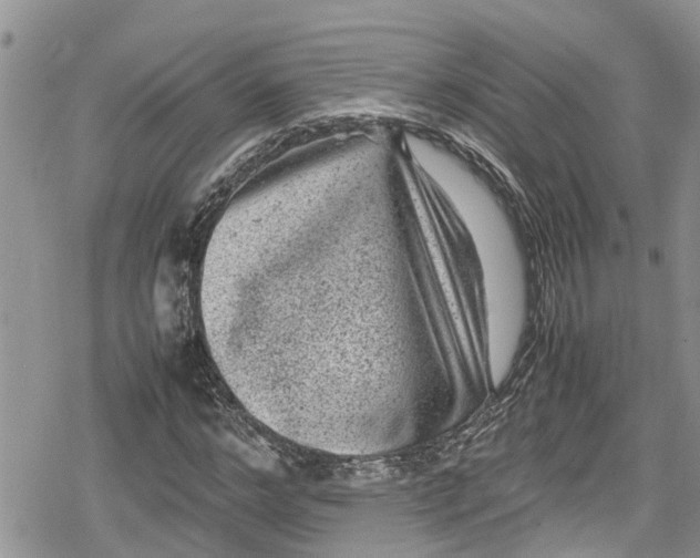 X0000078860968200611271408