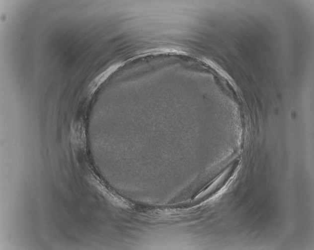 X0000078860969200611271408