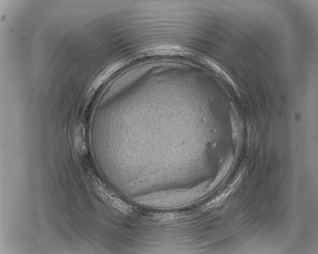 X0000078860970200611271407