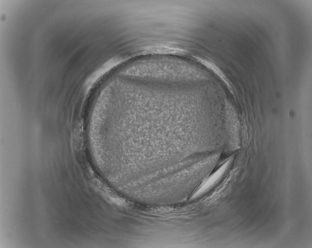 X0000078860971200611271407