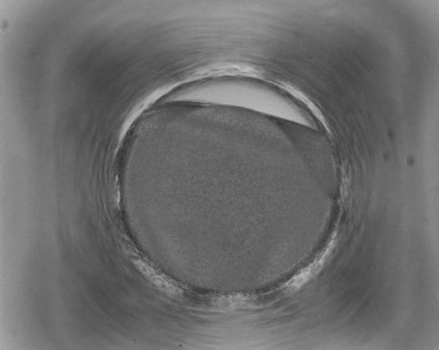 X0000078860973200611271407