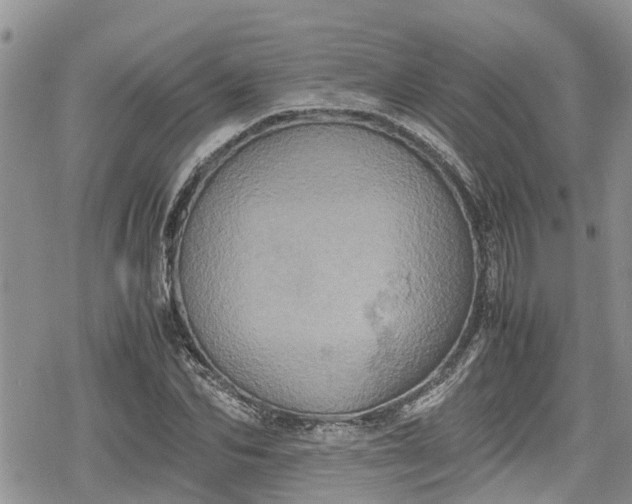 X0000078860974200611271407