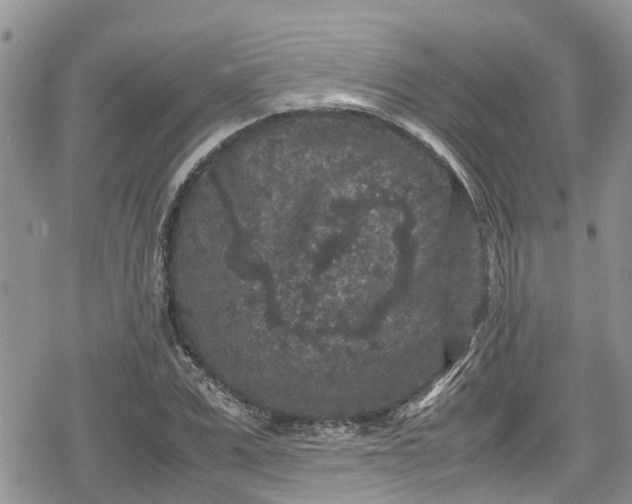 X0000078860975200611271407