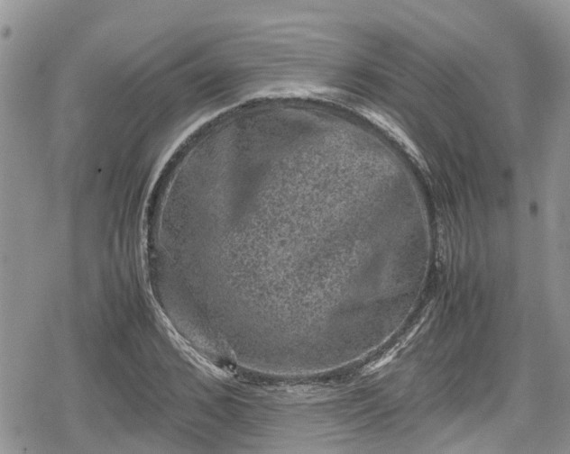 X0000078860976200611271407