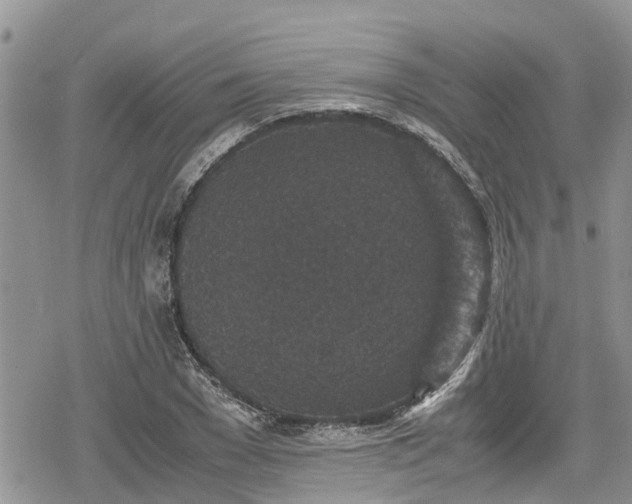 X0000078860977200611271407