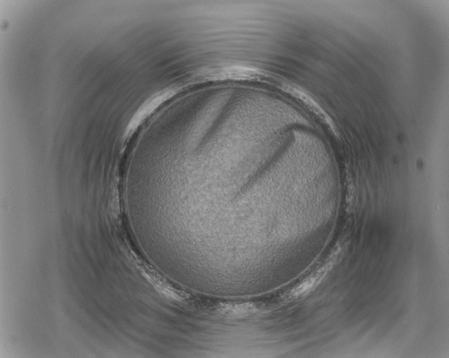 X0000078860978200611271407