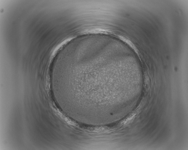 X0000078860979200611271407