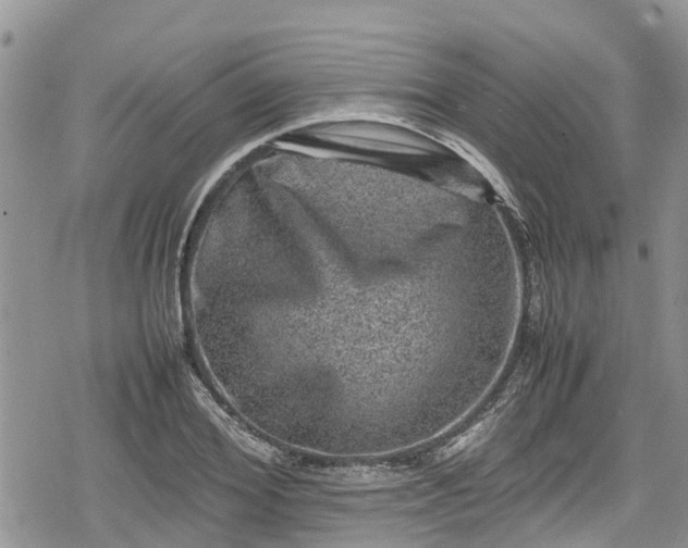 X0000078860980200611271407