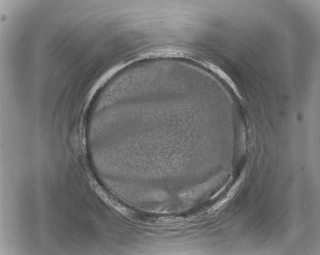 X0000078860981200611271407