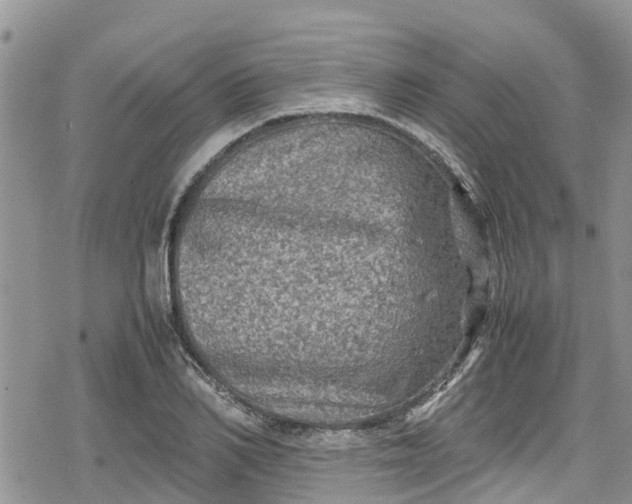 X0000078860982200611271407