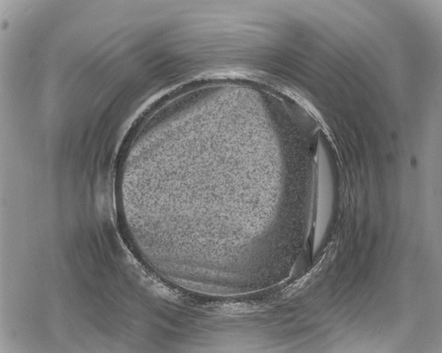 X0000078860984200611271407