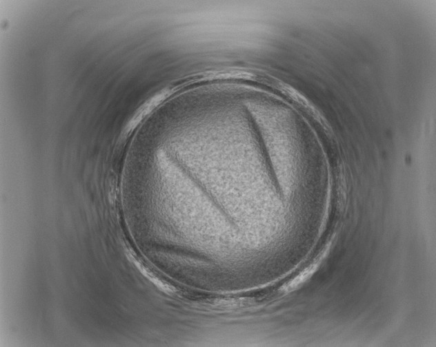 X0000078860985200611271407