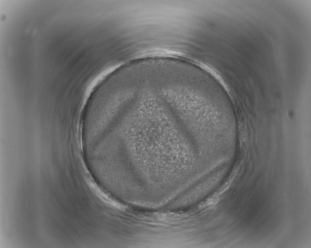 X0000078860987200611271407