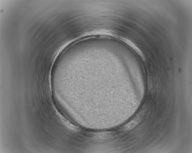 X0000078860988200611271407