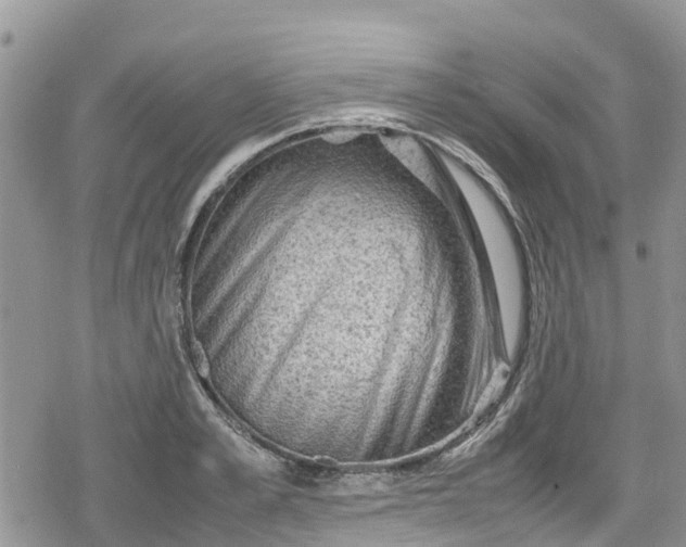 X0000078860989200611271407