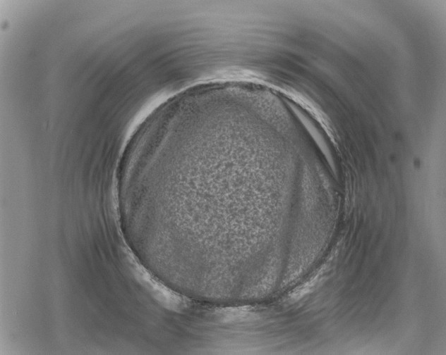 X0000078860990200611271407