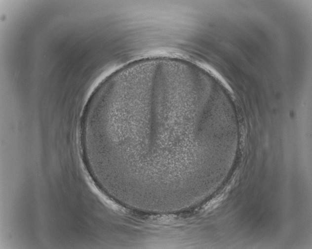 X0000078860991200611271407