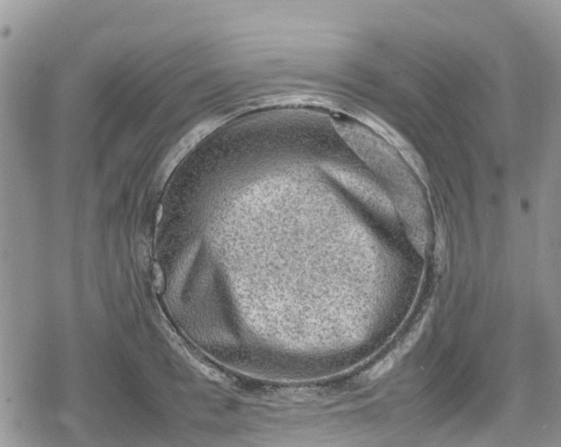 X0000078860993200611271407