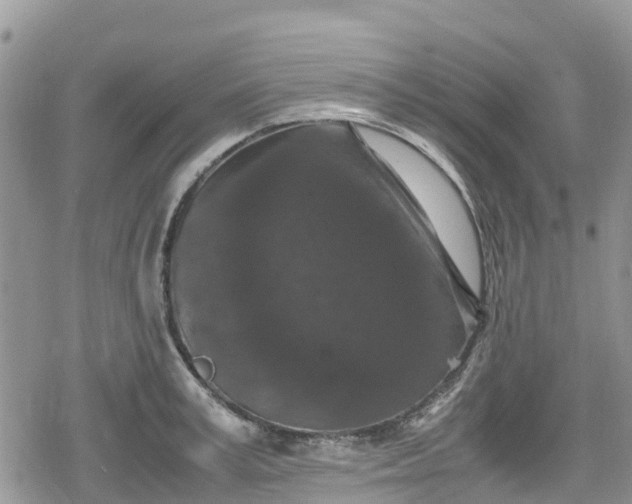 X0000078860995200611271407