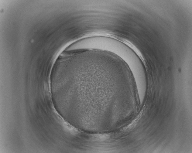 X0000078860996200611271407