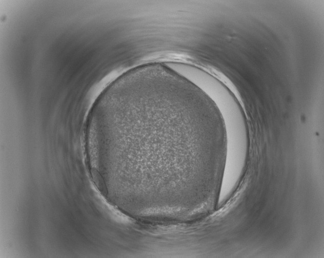 X0000078860997200611271407