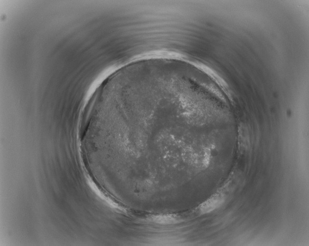 X0000078860998200611271407