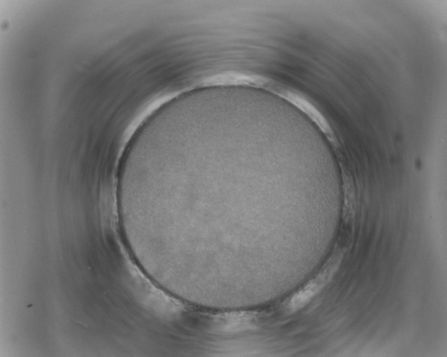 X0000078861000200611271407