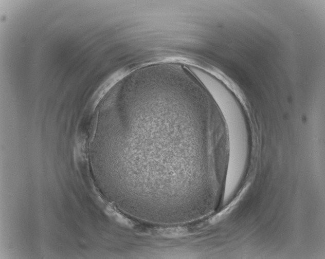 X0000078861001200611271407