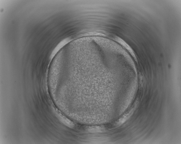 X0000078861002200611271407